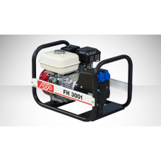Бензиновый генератор FOGO FH 3001